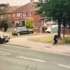 Illustration : La vidéo d’un chien qui sauve sa maîtresse d’un chauffard alors qu’ils se promenaient sur le trottoir