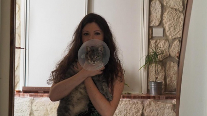 Illustration : Une chatte devient borgne après avoir reçu un tir à la carabine : recherches actives pour retrouver le coupable