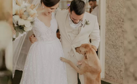 Illustration : Un chien errant boiteux s'invite à un mariage, le couple prend une décision inattendue à son sujet