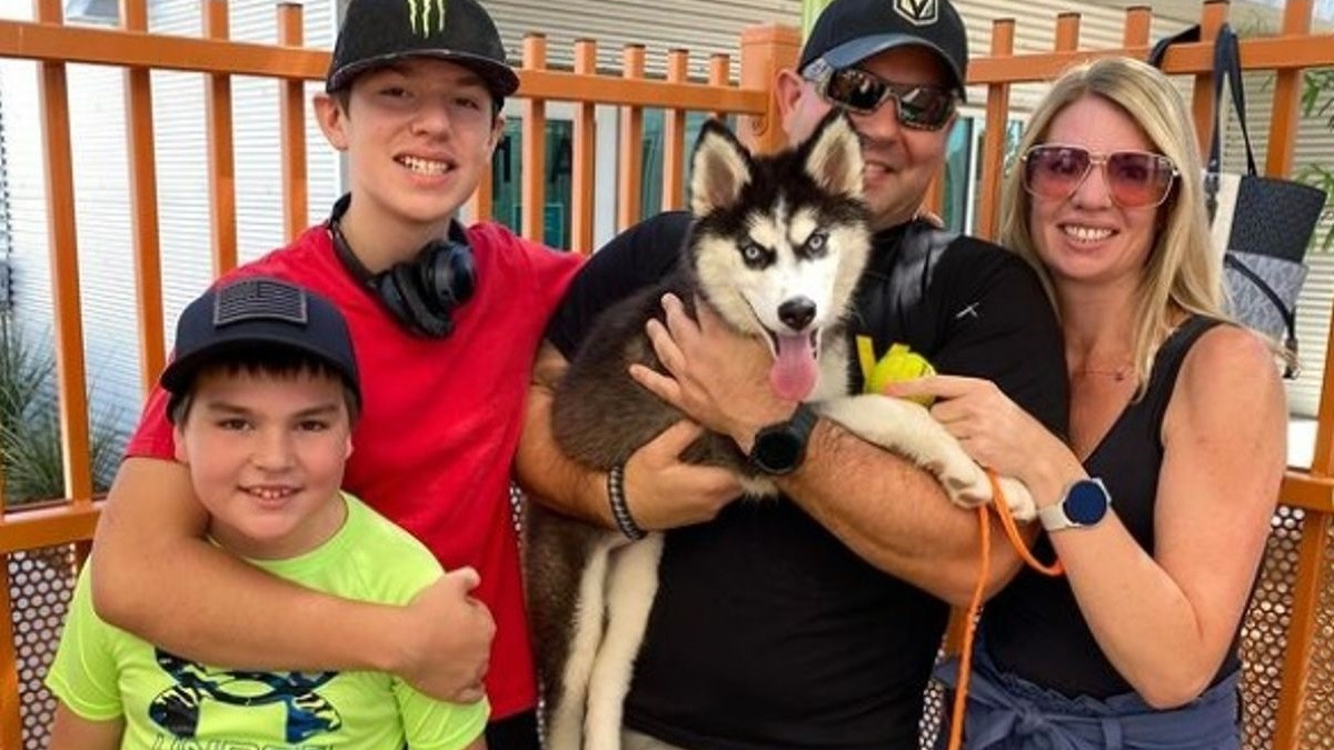 Illustration : "Le Husky enfermé dans une voiture pendant que son maître jouait au casino a trouvé une nouvelle famille"