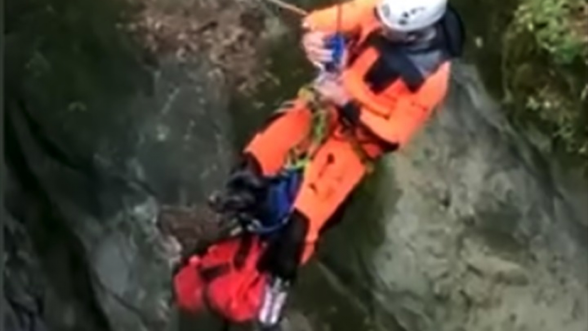 Illustration : "La vidéo du sauvetage d’un chien tombé de 50 mètres de haut dans un canyon de Savoie"