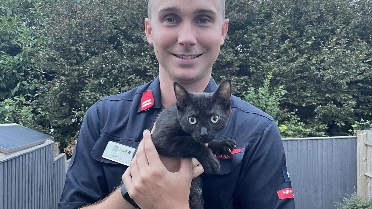 Illustration : "Un chat endeuillé renoue avec le bonheur grâce au pompier qui était intervenu chez son défunt propriétaire"