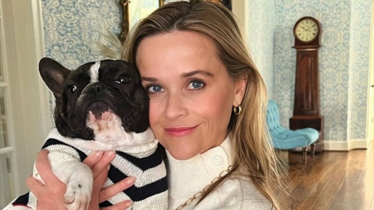 Illustration : "L’actrice américaine Reese Witherspoon, grande amoureuse des chiens, dévoile quelques clichés de sa vie avec ses canidés"