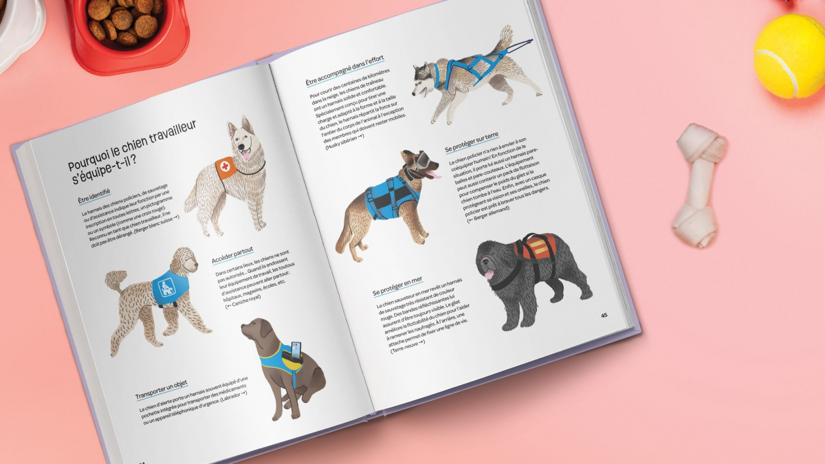 Illustration : "Gardes du corps, messagers, secouristes... découvrez les « Jobs de wouf » de nos amis les chiens dans ce livre joliment illustré !"