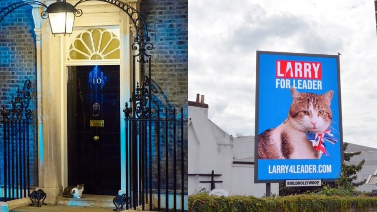 Illustration : "Larry, le chat souricier du 10 Downing Street, convoite désormais le poste de Premier ministre britannique"