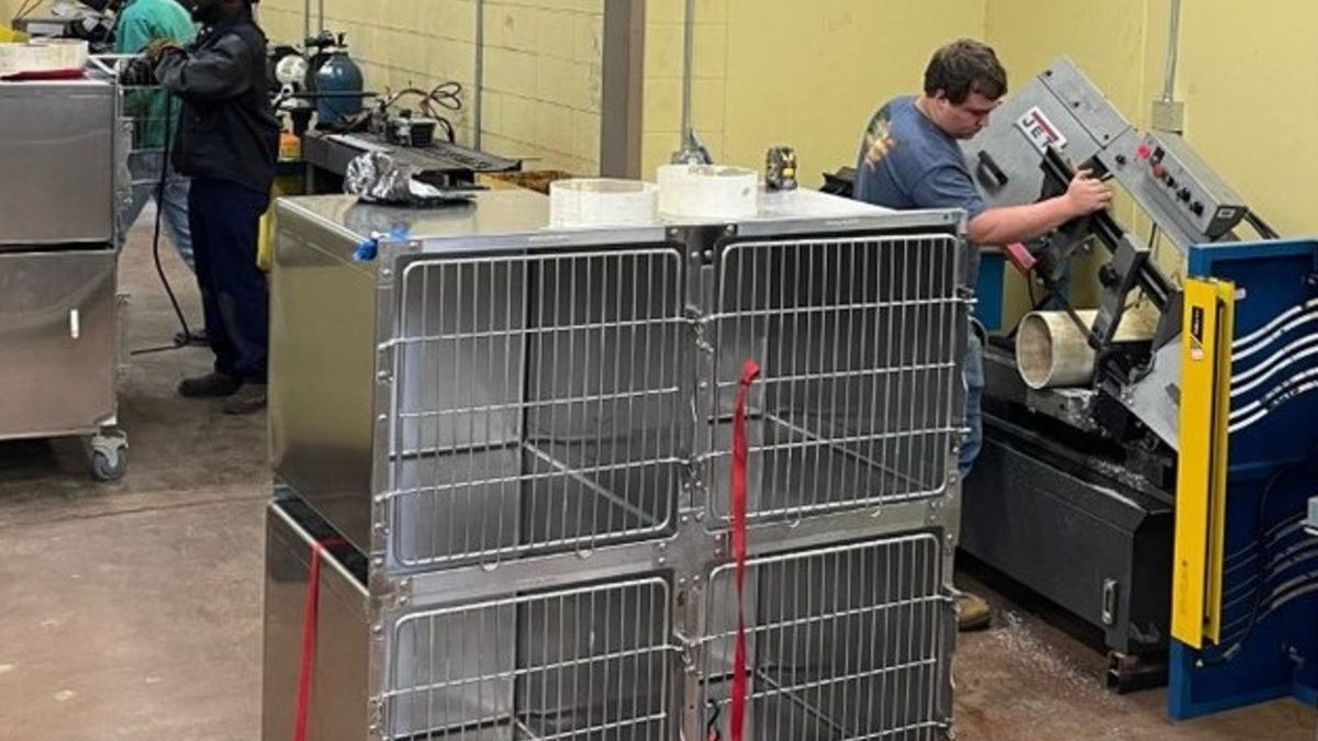 Illustration : "Des apprentis soudeurs modifient des cages pour faciliter la vie des chattes allaitantes d'un refuge"