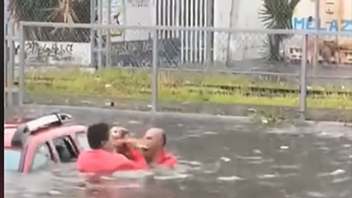 Illustration : "Un couple de personnes âgées et son chien piégés dans leur véhicule immergé sauvés in extremis par un voisin (vidéo)"