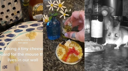 Illustration : Une femme prépare tous les soirs un repas somptueux pour la souris qui vit chez elle (vidéo)