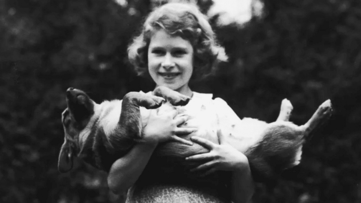 Illustration : "18 superbes photos illustrant l'amour que portait la reine Elisabeth II pour ses chiens"