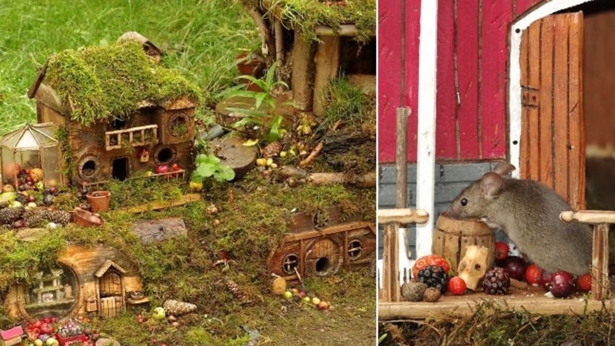 Illustration : "Il s'aperçoit que des souris vivent dans son jardin et décide de leur construire un adorable mini village 