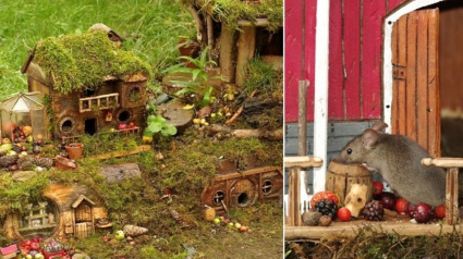 Illustration : Il s'aperçoit que des souris vivent dans son jardin et décide de leur construire un adorable mini village "tolkienien"