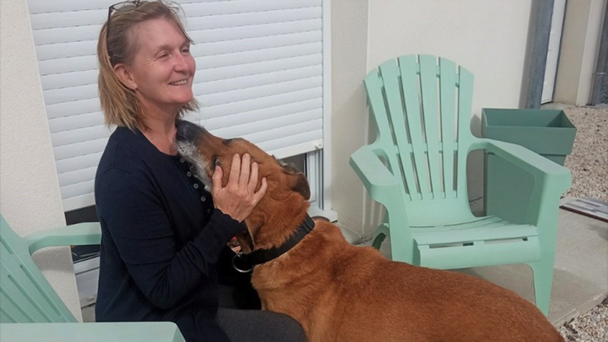 Illustration : "Après avoir passé 7 longues années au refuge, le chien sénior Captain a enfin droit au bonheur grâce à une bénévole touchée par son histoire"