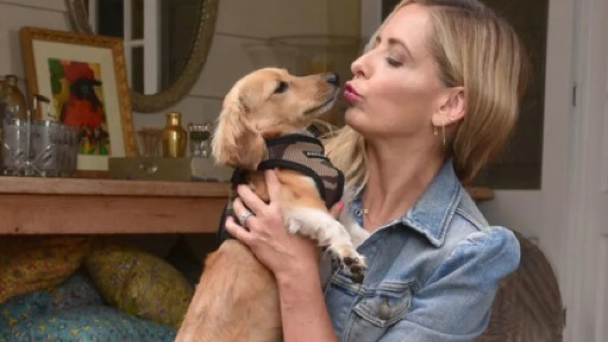 Illustration : "Sarah Michelle Gellar n’avait aucune intention d’adopter un autre chien, mais son amour pour les animaux a été plus fort"