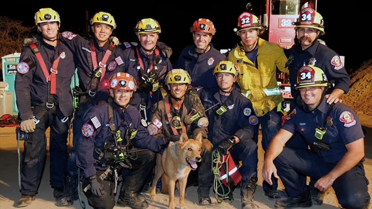 Illustration : "Un chien aveugle tombé dans un trou de près de 5 mètres de profondeur sur un chantier de construction sauvé par les pompiers (vidéo)"