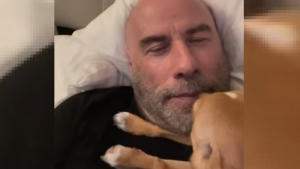 Illustration : La vidéo adorable montrant le chien de John Travolta, adopté au refuge, le réveiller tendrement