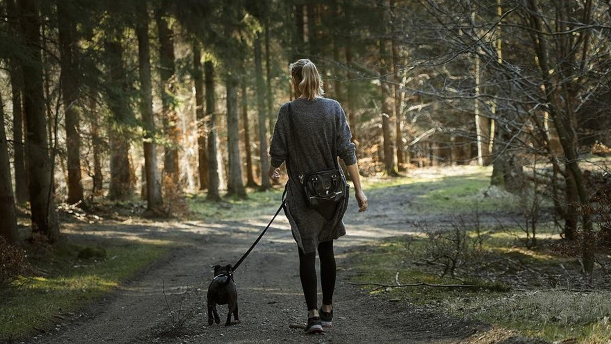 Illustration : "Un chien empêche un individu de le voler lors de sa promenade, la police lance un appel à témoin"