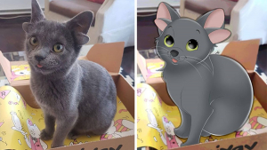 Illustration : 20 photos d'animaux transformés en personnages Disney par une artiste pleine de talent et de créativité