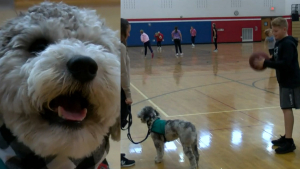 Illustration : Un chien de thérapie à l'école pour encourager les élèves en cours d'éducation physique