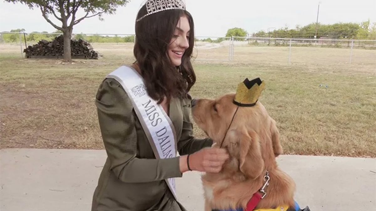 Illustration : "Allison Appleby est la première femme à avoir été élue Miss avec son chien d’assistance à ses côtés"