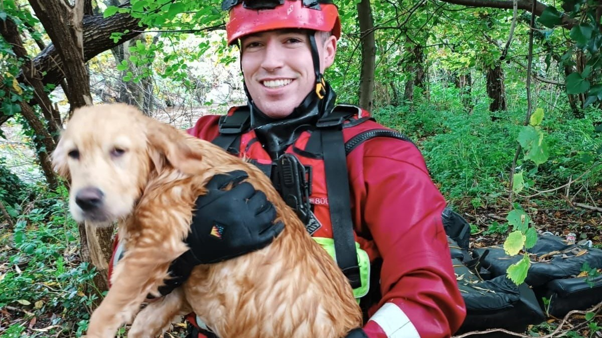 Illustration : "Lors de sa première intervention, la nouvelle recrue des pompiers sauve un chien de la noyade"