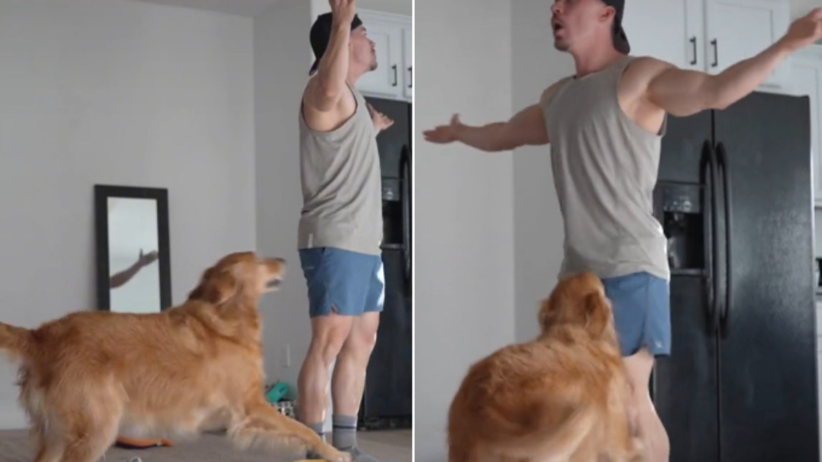 Illustration : "Cette vidéo montrant la réaction d'une chienne que son propriétaire feint de ne pas voir vous mettra de bonne humeur"
