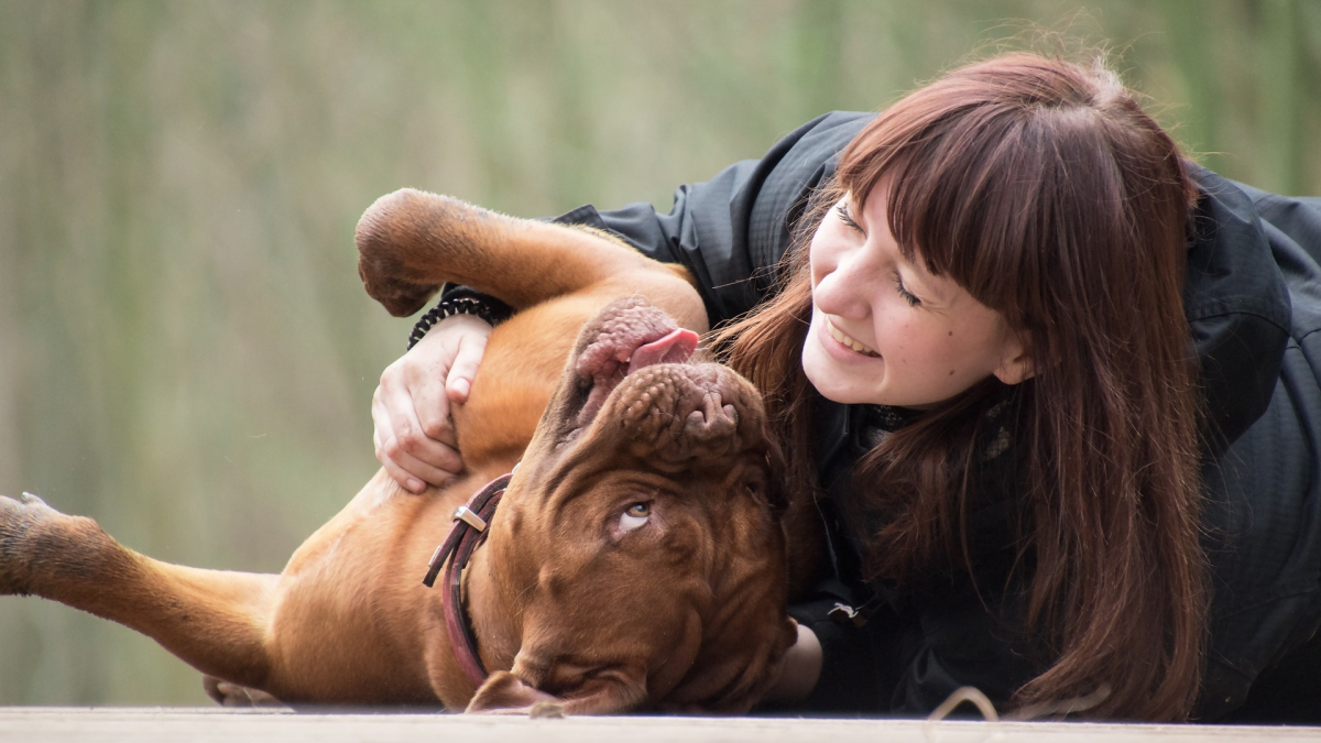 Illustration : "Pour comprendre et anticiper les besoins de votre animal de compagnie, calculez son âge humain !"