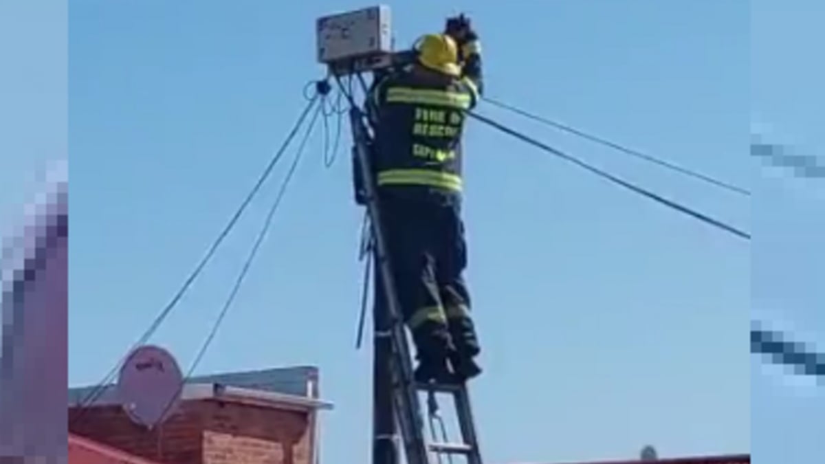 Illustration : "Appelés pour un accident, les pompiers voient un chat coincé au sommet d'un poteau téléphonique et lui viennent en aide (vidéo)"