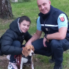 Illustration : Un gar&ccedil;on et sa chienne perdue r&eacute;unis gr&acirc;ce &agrave; un gendarme et sa femme