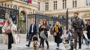 Illustration : Retour sur « La Marche solidaire de l’Animal en Ville » organisée par Mars Petcare pour sensibiliser les Français et les autorités publiques