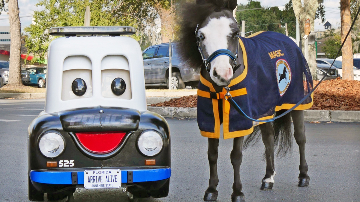 Illustration : "Un cheval de thérapie miniature rejoint les rangs de la police américaine (vidéo)"