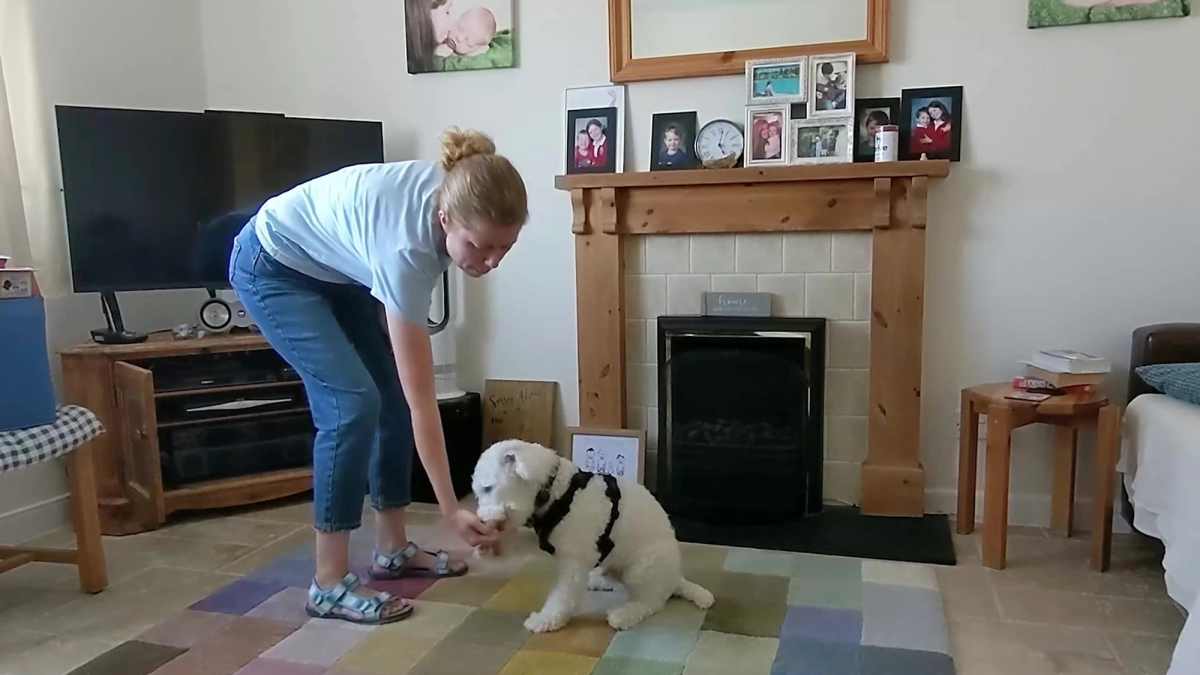Illustration : "Un chien atteint de surdité apprend la langue des signes aux côtés de sa maîtresse (vidéo)"