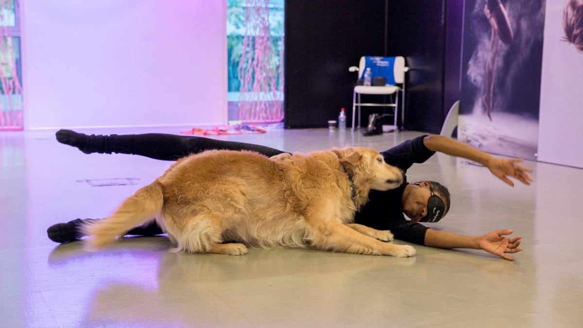 Illustration : "« Grâce à Finlay, j’ai retrouvé la liberté » : une danseuse professionnelle atteinte d'un handicap visuel raconte l'histoire de son chien guide"