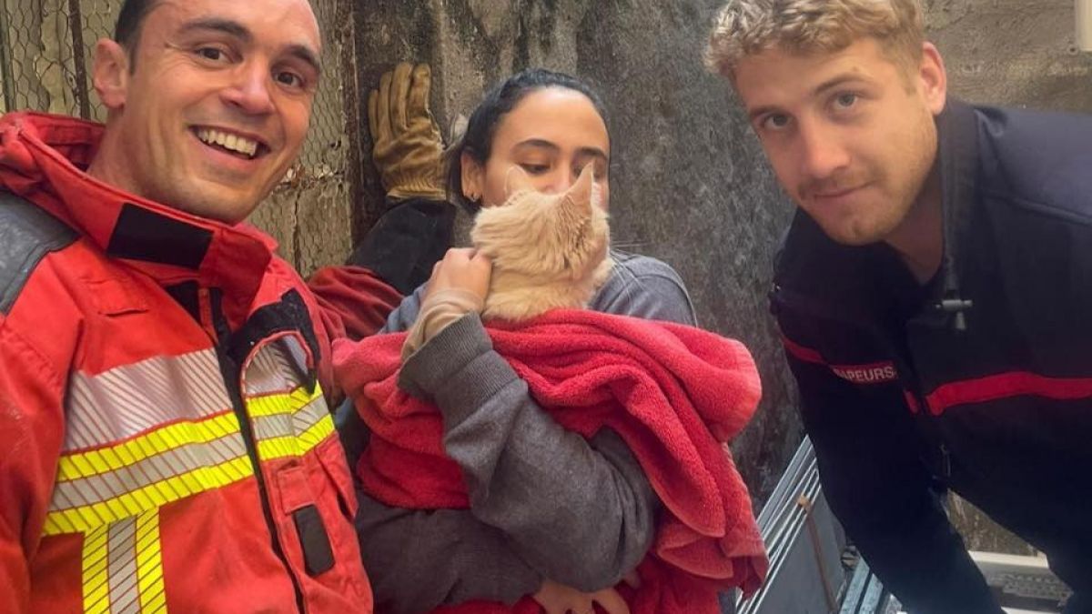 Illustration : "Les pompiers interviennent pour mettre fin au calvaire d’un chat, tombé dans un conduit de cheminée"