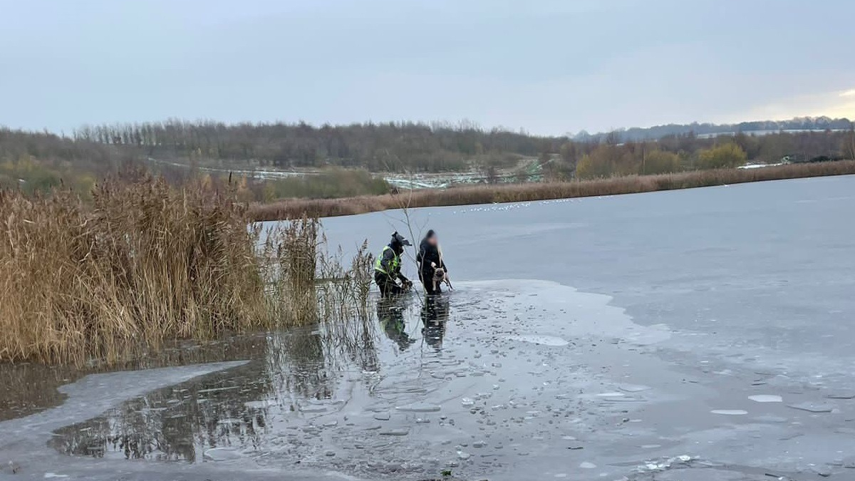 Illustration : "Un autre chien piégé par un lac gelé, sa maîtresse tentant de l'aider doit être secourue à son tour"