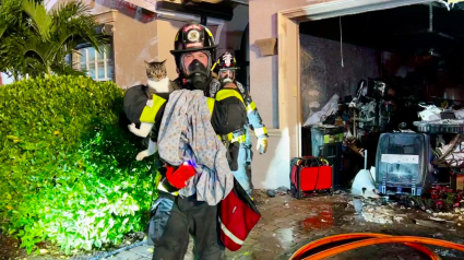 Illustration : Les pompiers interviennent pour voler au secours d’un chat et de 2 oiseaux, pris au piège dans l’incendie de leur maison