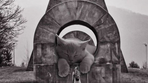 Illustration : 20 photos de cas "géants" s'emparant d'immenses bâtiments avec leur insouciance caractéristique