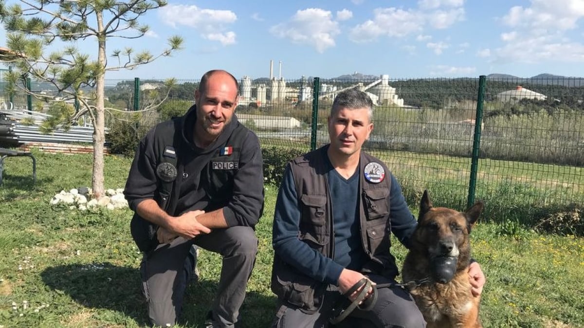 Illustration : "2 policiers sont mis à l'honneur pour avoir créé la première maison de retraite pour chiens policiers en France"