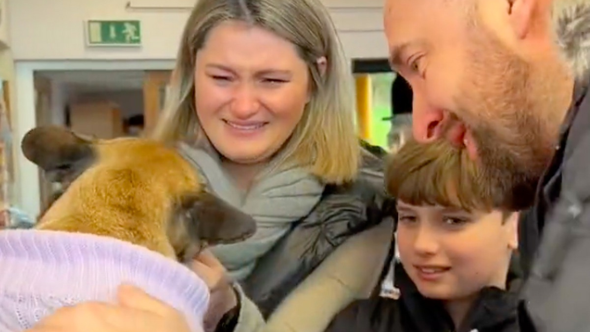 Illustration : "Une famille a eu la plus belle des surprises en retrouvant sa chienne, Baya, enlevée 2 ans plus tôt (vidéo)"