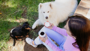Illustration : Bouchées tendres Movoflex, ou comment faire plaisir à son chien tout en protégeant ses articulations