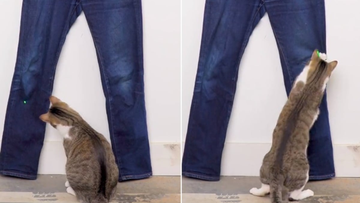 Illustration : "Il transforme un jean classique en un pantalon 