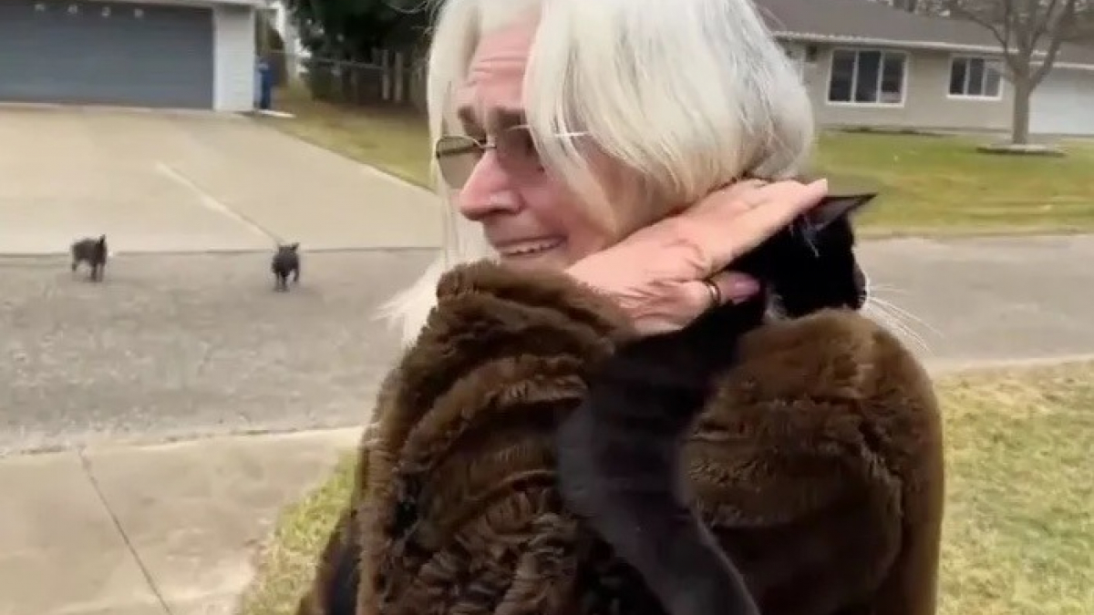 Illustration : "À l’occasion des retrouvailles avec son chat, une femme fait une rencontre fortuite qui va changer sa vie"