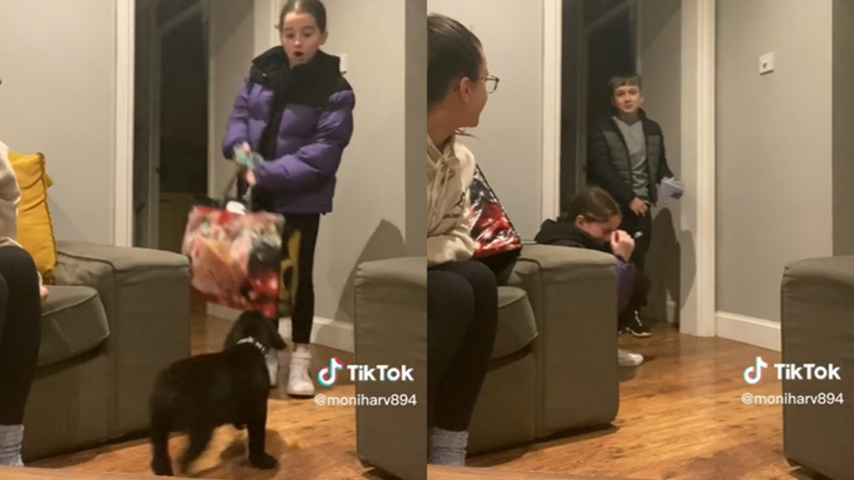 Illustration : "L'émouvante réaction d'enfants face à la surprise réservée par leur mère quelques mois après le décès de leur chien (vidéo)"