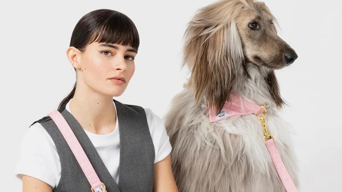 Acheter Collier Et Harnais Pour Chien Louis Vuitton 2023