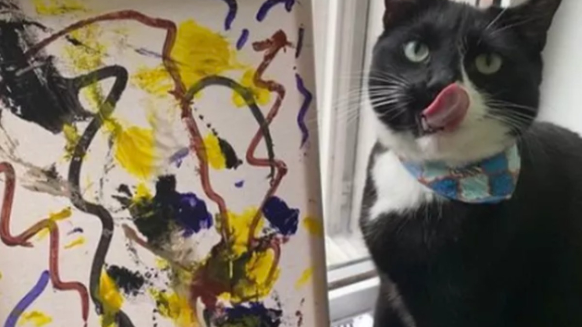 Illustration : "17 chats faisant étalage de leurs talents dans des domaines surprenants"