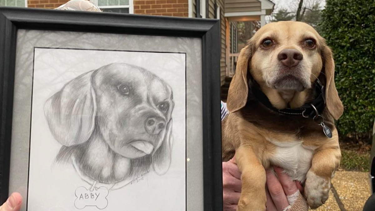 Illustration : "Cette chienne âgée a été abandonnée au refuge avec un portrait d’elle qui montre à quel point ses propriétaires l’aimaient"