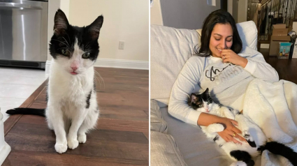 Illustration : Une jeune femme prend la meilleure décision de sa vie en adoptant un chat de refuge dont personne ne voulait (vidéo)