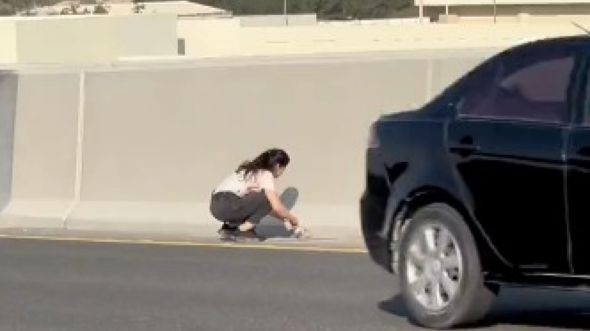 Illustration : "Vidéo : Le sauvetage risqué d’un chaton abandonné au beau milieu de l’autoroute"