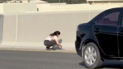 Illustration : Vidéo : Le sauvetage risqué d’un chaton abandonné au beau milieu de l’autoroute