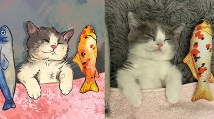 Illustration : 20 portraits de chats désopilants inspirés de scènes rencontrées sur le net