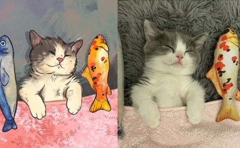 Illustration : 20 portraits de chats désopilants inspirés de scènes rencontrées sur le net